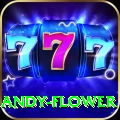 andy flower Max v3.8.5