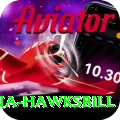 antigua hawksbill Pro v2.4.0