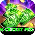 australian cricket Game Ultimate v2.3.1