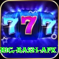 bbl big bash apk Apps (Tools & Injectors) Deluxe v5.8.5