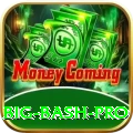 big bash Game Ultimate v4.4.2