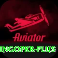 bingopkr Ultimate Pro v2.4.4
