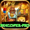 bingopkr - Gaming VIP