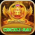 cricket bat Max v3.9.8