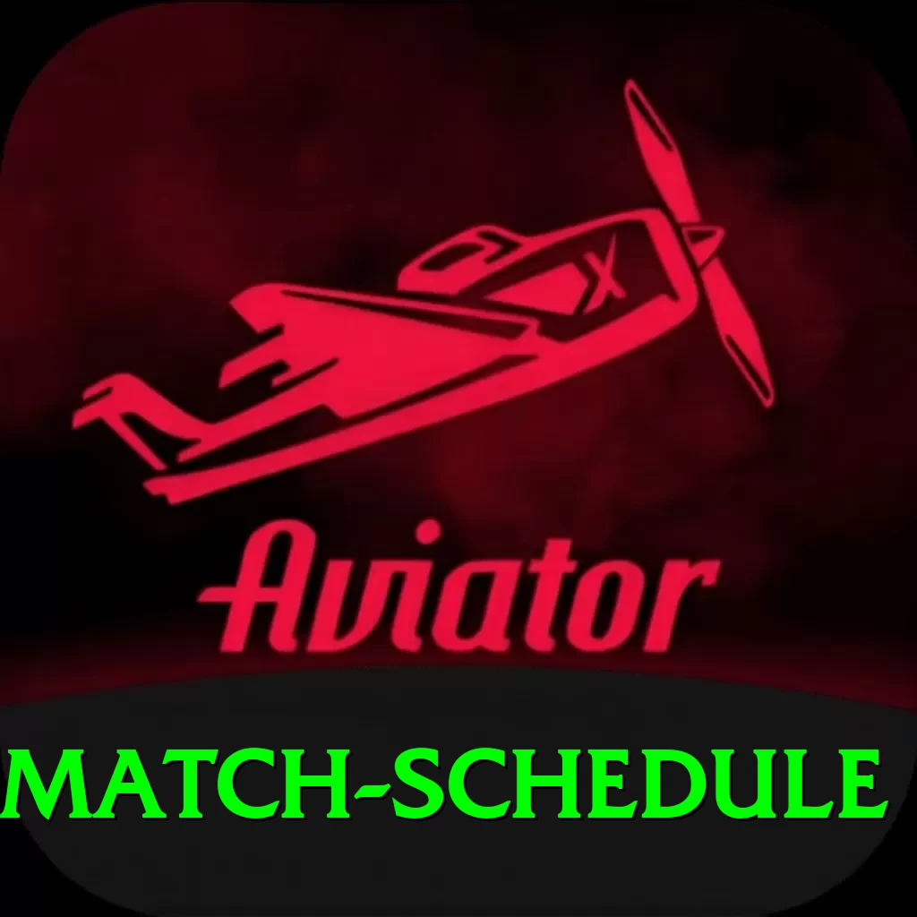 cricket match schedule VIP v4.0.2 - 2