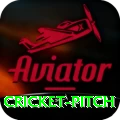 cricket pitch VIP v3.2.6
