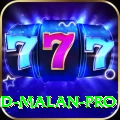 dawid malan Master v3.9.4