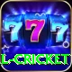 defending total cricket Master v2.8.9