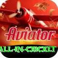 fastest ball in cricket Premium Edition v4.0.1