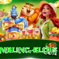 gambling slots Premium Plus v4.0.2