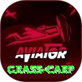 grass carp Pro1 v3.5.6