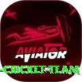 hong kong cricket team Master v5.4.1