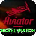 india bangladesh cricket match VIP v1.4.1