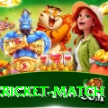 india cricket match Plus Edition v1.7.0