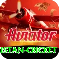 india pakistan cricket VIP v3.6.7