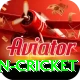 india pakistan cricket VIP v3.6.7