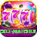 india upcoming cricket matches Plus v3.2.0