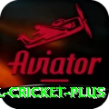international cricket Master v1.6.7