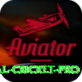 international cricket Turbo - Win Real PKR