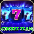 ireland cricket team Elite Pro v4.2.7