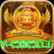ndtv cricket Pro Edition v5.6.5
