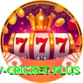 ndtv cricket Plus Casino App