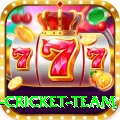 new zealand cricket team Pro Max v4.1.1