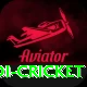 odi cricket Pro Edition v3.7.4