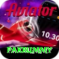 pakrummy Elite v4.9.4