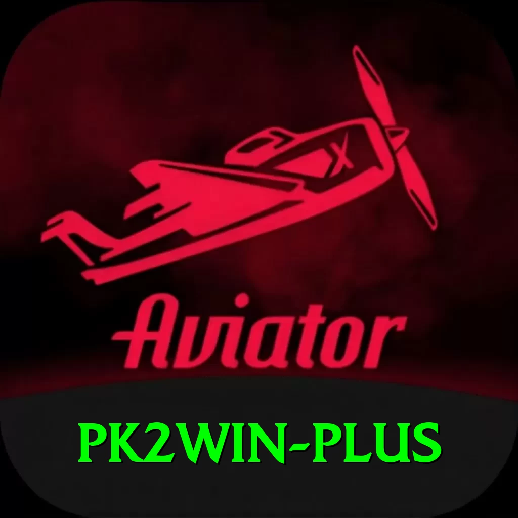 pk2win VIP v4.8.4 - 2