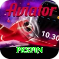 pkspin Apps (Tools & Injectors) Pro vv1.0.6