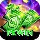 PKWin Premium v4.9.3