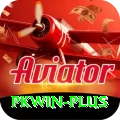 pkwin Apps (Tools & Injectors) Max vv4.6.4