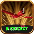 r cricket Games (Casino & Earning) Deluxe v3.3.3