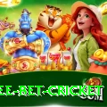 risk free bet cricket Premium v2.0.4