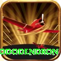 simbhanjyang rhododendron Games (Casino & Earning) Master v2.1.6