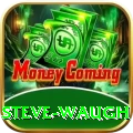 steve waugh Premium Plus v5.8.2