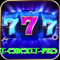 test cricket Gold v4.6.3