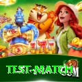 test match Gold Pro v3.8.1