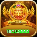 tiger888 Gold Pro vv4.8.1