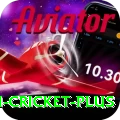 virat kohli cricket Ultimate PK v3.0.1