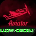 willow cricket Deluxe Pro v1.7.1