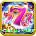 willow cricket Casino VIP v2.9.2