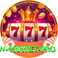 willow cricket Earn Extreme v4.3.4