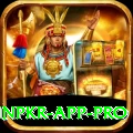 winpkr app Live Casino Plus